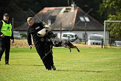 Nando von der Barenau