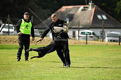 Nando von der Barenau