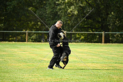 Nando von der Barenau