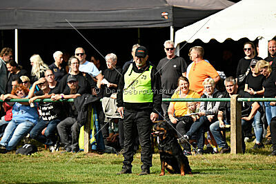 Nando von der Barenau