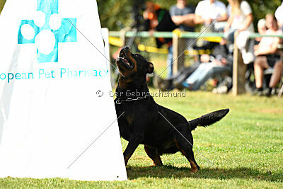 Nando von der Barenau