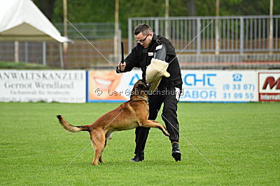 Nash vom schnellen Fahnder