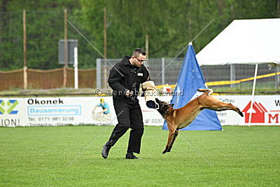 Nash vom schnellen Fahnder
