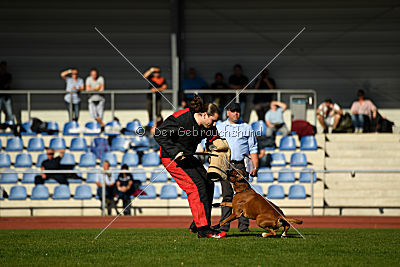 Nash von der Isenburg