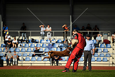 Nash von der Isenburg