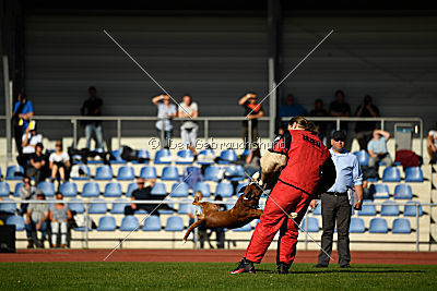 Nash von der Isenburg