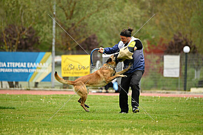 Nasty Rick Rude du Poilu