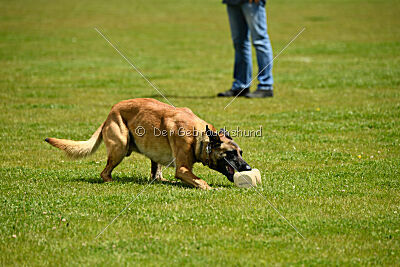 Nasty Rick Rude du Poilu