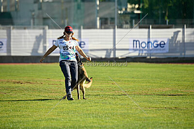 Nasty Rick Rude du Poilu