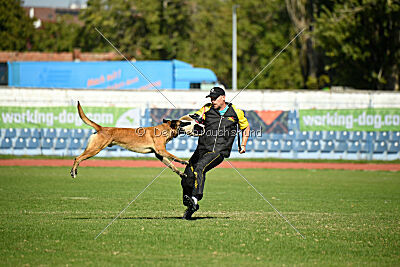 Nasty Rick rude du poilu