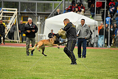 Nati's Empower Nyles