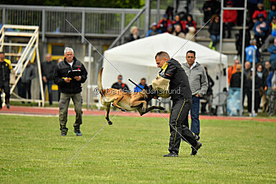 Nati's Empower Nyles