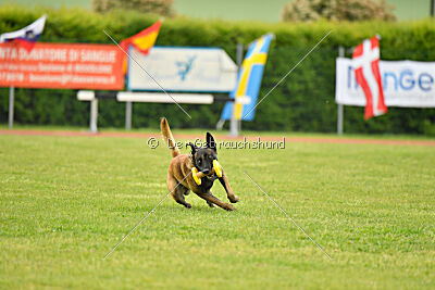 Nati's Empower Nyles