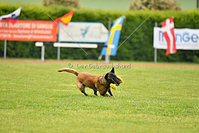 Nati's Empower Nyles