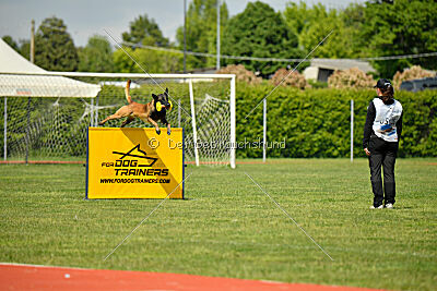 Nati's Empower Nyles