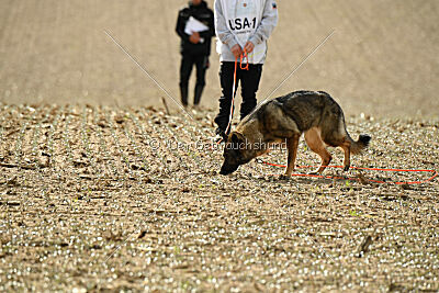 Naughty von Wolstraum