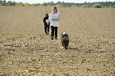 Naughty von Wolstraum