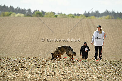 Naughty von Wolstraum