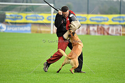 Ne pas toucher D'Toxx