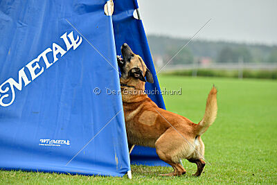 Ne pas toucher D'Toxx