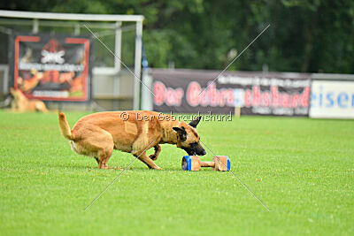 Ne pas toucher D'Toxx