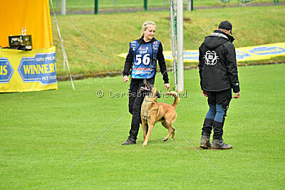 Ne pas toucher D'Toxx