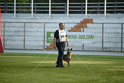 Neli Running Wild