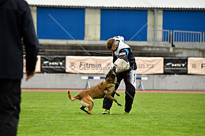Neli Running Wild