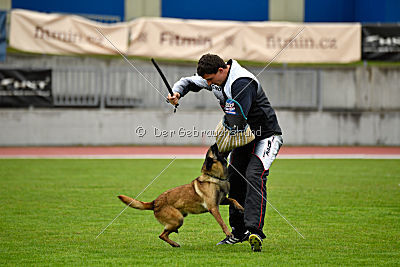 Neli Running Wild