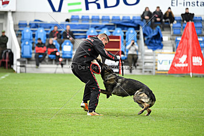 Nero von Haus Targa