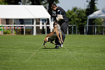 Nexor vom Brunsbeker Land