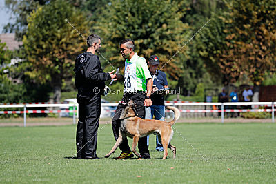 Nexor vom Brunsbeker Land