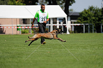 Nexor vom Brunsbeker Land