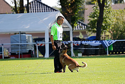 Nexor vom Brunsbeker Land