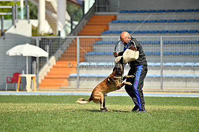 Nexor vom Brunsbeker Land
