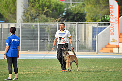 Nexor vom Brunsbeker Land