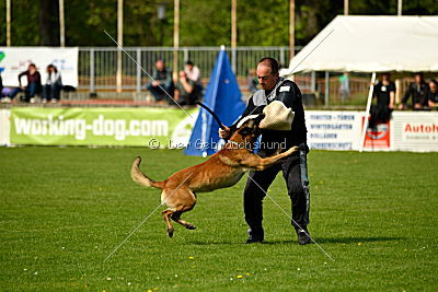 Nexor vom Brunsbeker Land