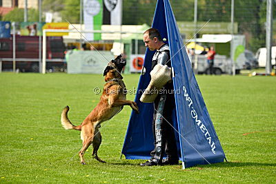 Nexor vom Brunsbeker Land