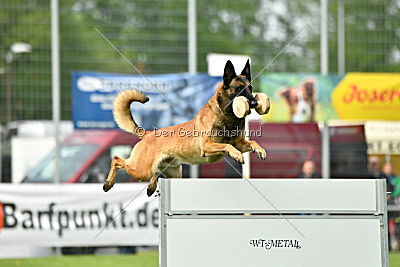 Nexor vom Brunsbeker Land