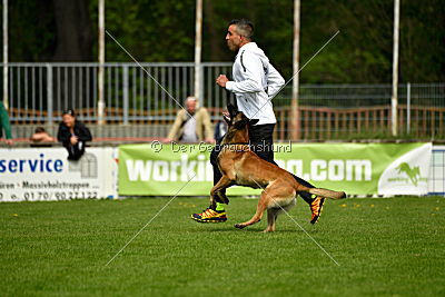 Nexor vom Brunsbeker Land