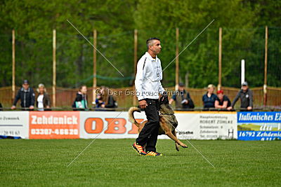 Nexor vom Brunsbeker Land