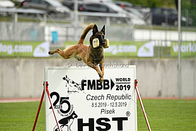 Nexor vom Brunsbeker Land