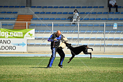 Nico de Covalta
