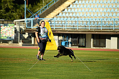 Nico z Lomeckého polesi