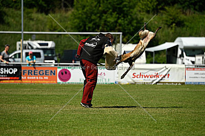 Nike vom Drachenherz