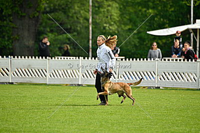 Nike vom Drachenherz