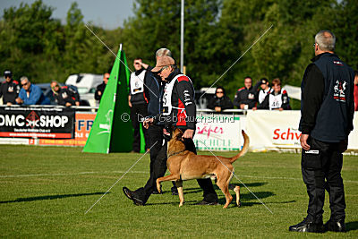 Nikelson van het Dreiland