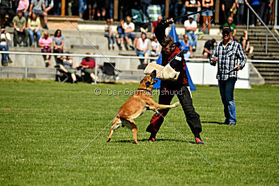 Nikelson van het Dreiland