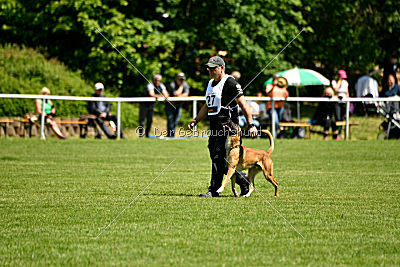 Nikelson van het Dreiland