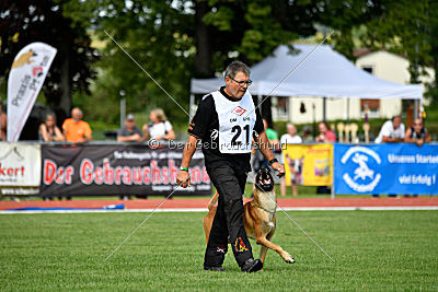 Nikelson van het Dreiland